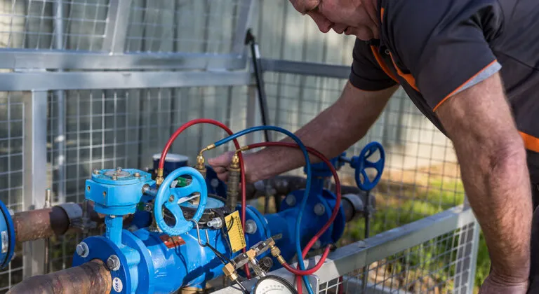 Lee Backflow related service